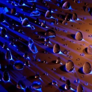 Meet your Posher, Gary